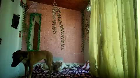 sexy lolas online show from July 17, 8:46 pm