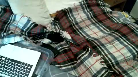 Snapshot of sexybiman74 chatting on January 31, 10:52 pm sexybiman74 online show from January 31, 10:52 pm