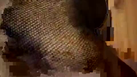 Forever Erotica online show from November 9, 11:25 pm