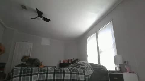 Snapshot of sexyfl440703 chatting on October 31, 3:46 pm sexyfl440703 online show from October 31, 3:46 pm