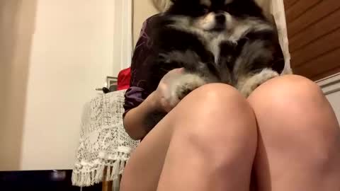 Snapshot of sexysexydream chatting on February 9, 8:13 pm Anya online show from February 9, 8:13 pm