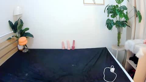 Snapshot of sexytrixie11 chatting on June 22, 3:47 am sexytrixie11 online show from June 22, 3:47 am