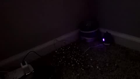 Sugar Brown online show from March 4, 3:18 pm