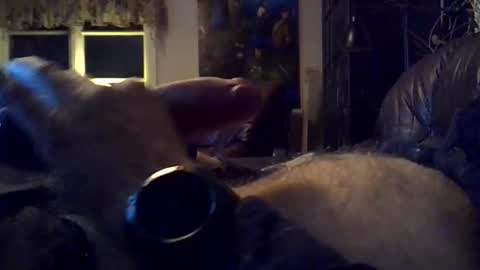 sgthard260486 online show from March 10, 10:15 pm