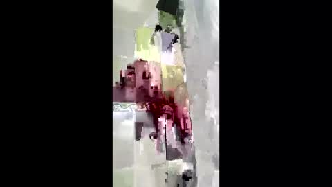 shanelle7 online show from January 17, 12:10 pm