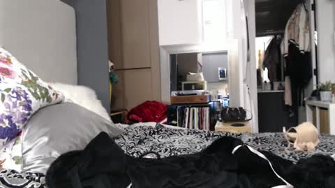 Snapshot of shannon07 chatting on January 13, 2:50 am Shannon07 online show from January 13, 2:50 am