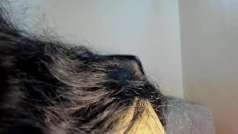 Sara online show from October 10, 5:06 am