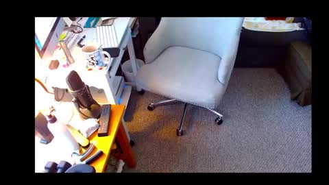 Shelaacd online show from October 16, 12:39 pm