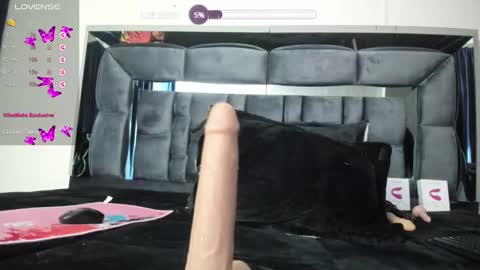 Snapshot of shengyi_blue chatting on February 21, 8:51 am  anyela7773 online show from February 21, 8:51 am