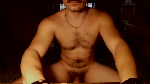 shinikari online show from September 13, 1:00 pm