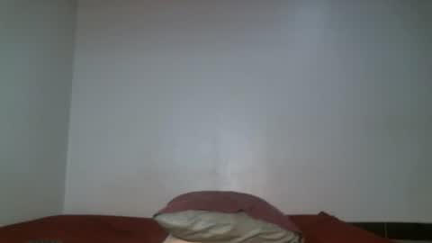 Snapshot of shiro254 chatting on May 11, 11:49 am Shi-ro online show from May 11, 11:49 am