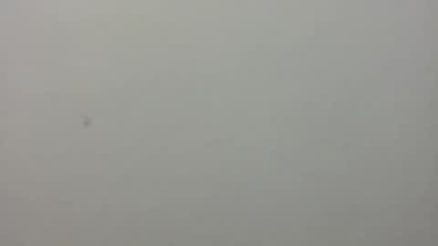 show_on_for_you online show from March 24, 9:09 pm