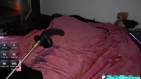 Snapshot of shygirlfromeurope chatting on January 31, 12:28 am Vivian online show from January 31, 12:28 am