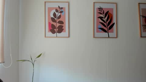 Snapshot of shylittlebunny chatting on February 11, 2:33 pm shylittlebunny online show from February 11, 2:33 pm