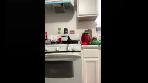 Snapshot of shyyyguyyy59 chatting on October 8, 4:26 pm shyyyguyyy59 online show from October 8, 4:26 pm