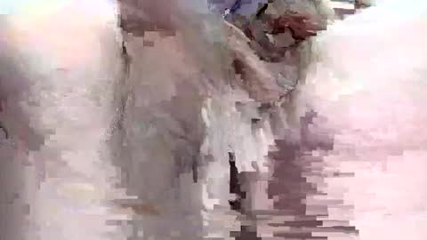 sigmaelixer online show from September 29, 9:08 pm