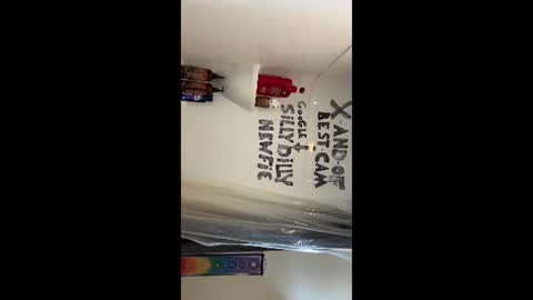 Snapshot of sillydillynewfie chatting on June 22, 4:26 pm Silly Dilly Newfie online show from June 22, 4:26 pm