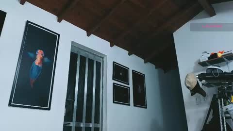 silvabranko online show from April 19, 1:16 am