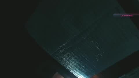 Snapshot of silvabranko chatting on April 27, 2:09 am silvabranko online show from April 27, 2:09 am