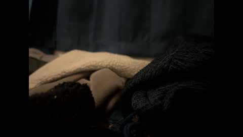 tigre online show from February 13, 1:40 am