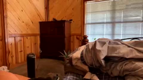 sinfull2022 online show from February 1, 4:38 pm