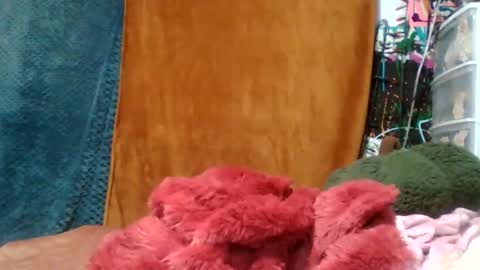 Siofra online show from November 16, 4:51 am