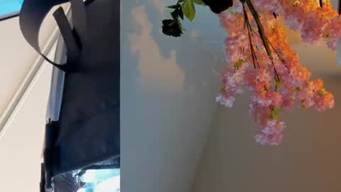 Snapshot of siouxsie_cenobite chatting on June 24, 11:09 am Siouxsie online show from June 24, 11:09 am