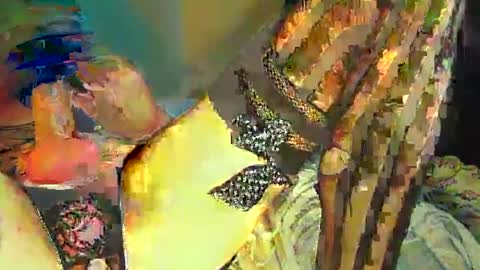 Snapshot of sir__loin411 chatting on February 20, 5:07 pm Sir Loin online show from February 20, 5:07 pm