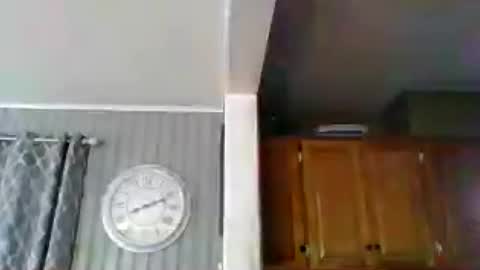 Snapshot of sirmike80 chatting on July 3, 12:11 pm SirMike80 online show from July 3, 12:11 pm