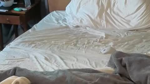 Sissy Submissive online show from April 18, 12:03 am