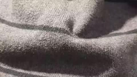 Snapshot of skeetzmgee chatting on November 12, 5:57 pm skeetzmgee online show from November 12, 5:57 pm