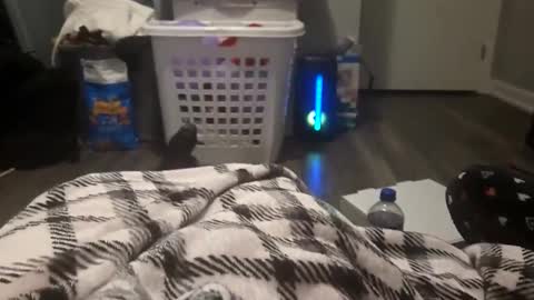 Snapshot of skindog1551 chatting on November 2, 8:28 am skindog1551 online show from November 2, 8:28 am