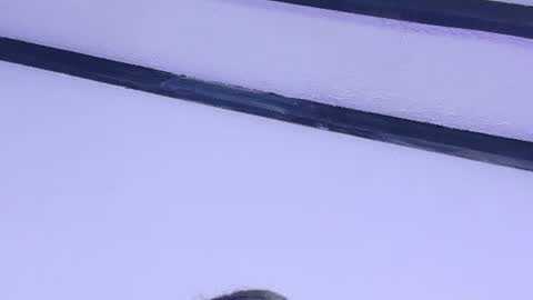 skinny_hottie18 online show from June 27, 11:48 am