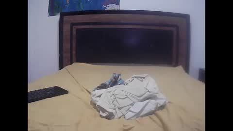 Snapshot of skinny_long_cock chatting on April 14, 1:44 am Albert online show from April 14, 1:44 am
