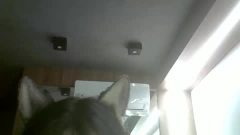 Snapshot of skinnykittencam chatting on February 1, 4:00 am skinnykittencam online show from February 1, 4:00 am