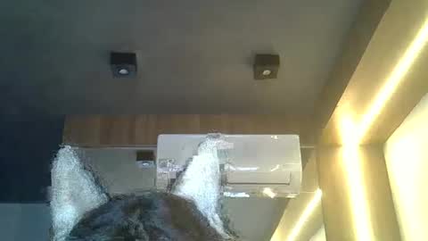 Snapshot of skinnykittencam chatting on February 8, 8:23 pm skinnykittencam online show from February 8, 8:23 pm