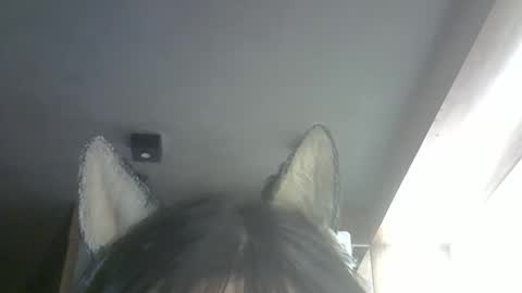 Snapshot of skinnykittencam chatting on February 26, 10:25 am skinnykittencam online show from February 26, 10:25 am