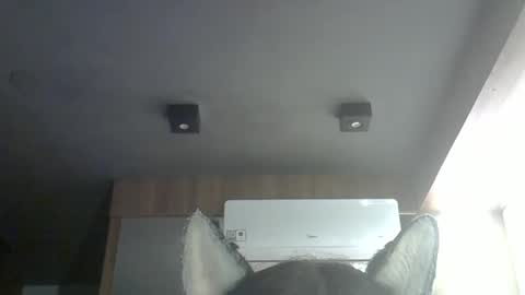 skinnykittencam online show from March 14, 9:26 am