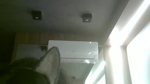 Snapshot of skinnykittencam chatting on June 3, 5:51 pm skinnykittencam online show from June 3, 5:51 pm