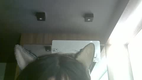 Snapshot of skinnykittencam chatting on June 5, 3:51 pm skinnykittencam online show from June 5, 3:51 pm