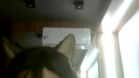 Snapshot of skinnykittencam chatting on June 7, 5:38 pm skinnykittencam online show from June 7, 5:38 pm