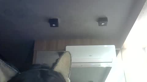 Snapshot of skinnykittencam chatting on June 8, 4:51 pm skinnykittencam online show from June 8, 4:51 pm