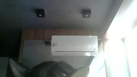Snapshot of skinnykittencam chatting on June 15, 8:33 pm skinnykittencam online show from June 15, 8:33 pm