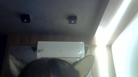 Snapshot of skinnykittencam chatting on June 16, 8:50 am skinnykittencam online show from June 16, 8:50 am