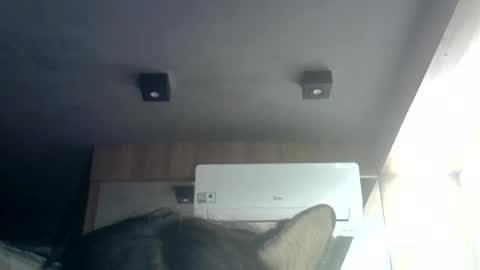 Snapshot of skinnykittencam chatting on June 23, 1:36 am skinnykittencam online show from June 23, 1:36 am