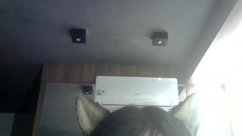 Snapshot of skinnykittencam chatting on June 25, 5:12 am skinnykittencam online show from June 25, 5:12 am