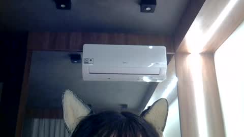 Snapshot of skinnykittencam chatting on June 26, 1:04 pm skinnykittencam online show from June 26, 1:04 pm