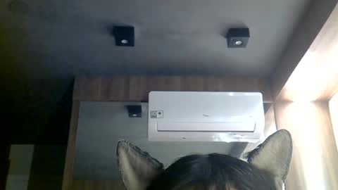 Snapshot of skinnykittencam chatting on June 29, 10:48 am skinnykittencam online show from June 29, 10:48 am
