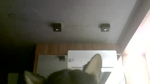 Snapshot of skinnykittencam chatting on June 30, 12:11 am skinnykittencam online show from June 30, 12:11 am