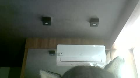Snapshot of skinnykittencam chatting on July 2, 5:24 am skinnykittencam online show from July 2, 5:24 am